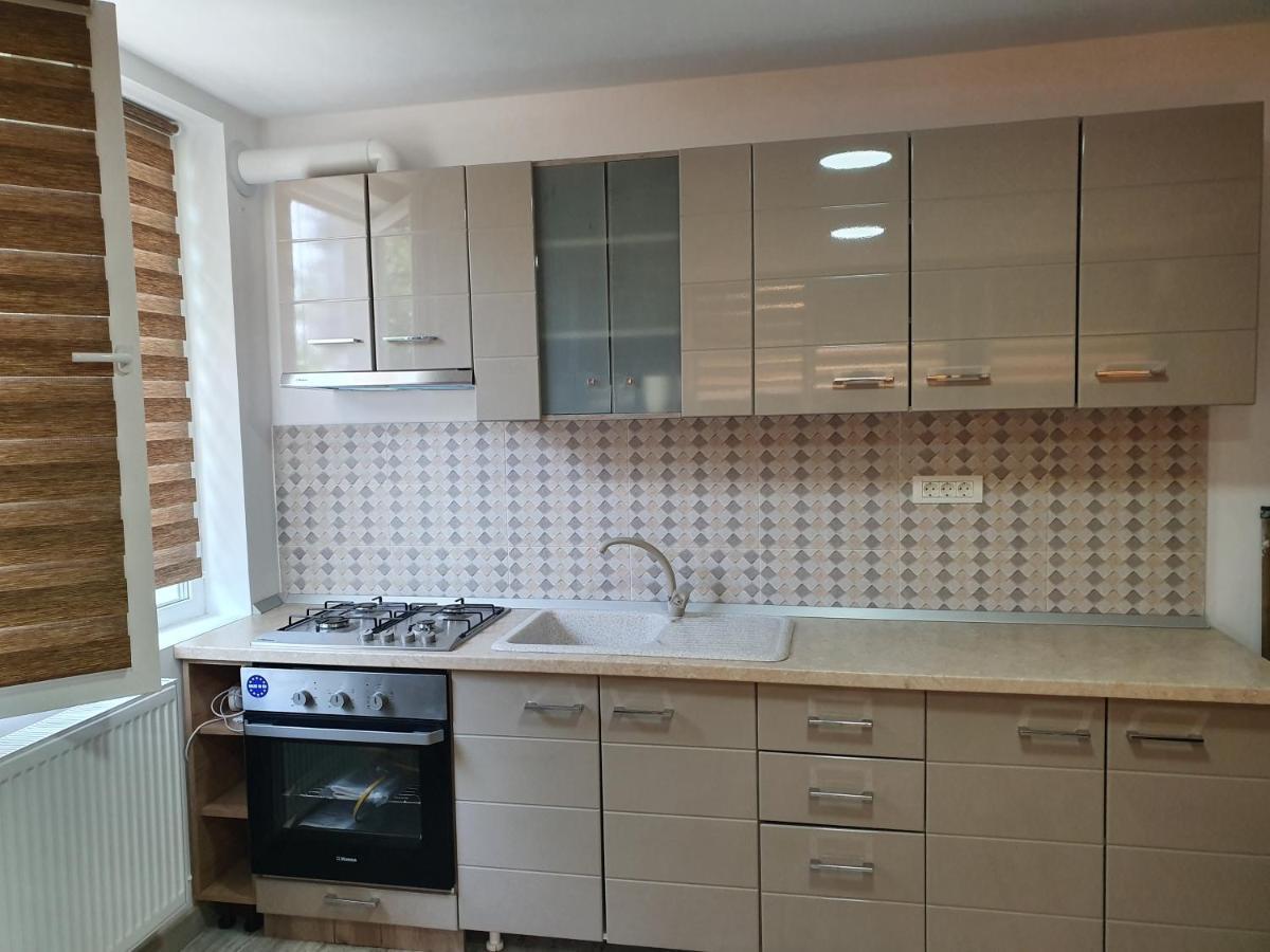Apartament Negris Birlad Экстерьер фото